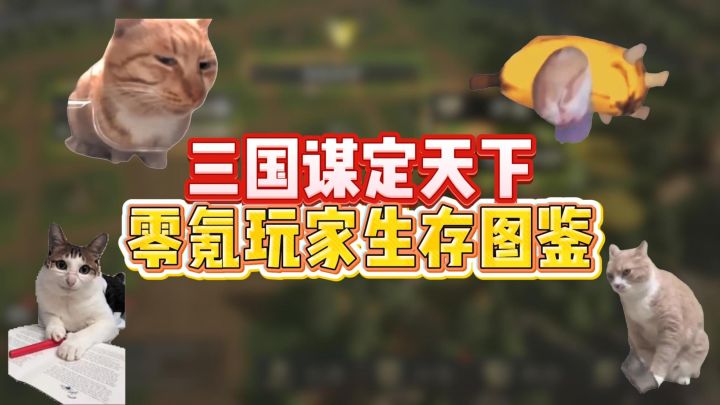 三国谋定天下零氪玩家生存图鉴截图
