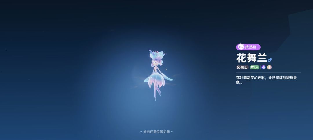 这是什么? 2