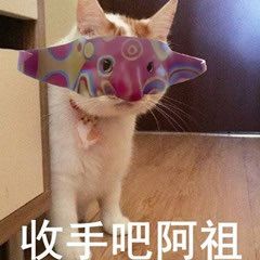 通灵师500蓝币截图