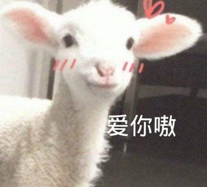 可以祝小羊生日快乐吗? 3