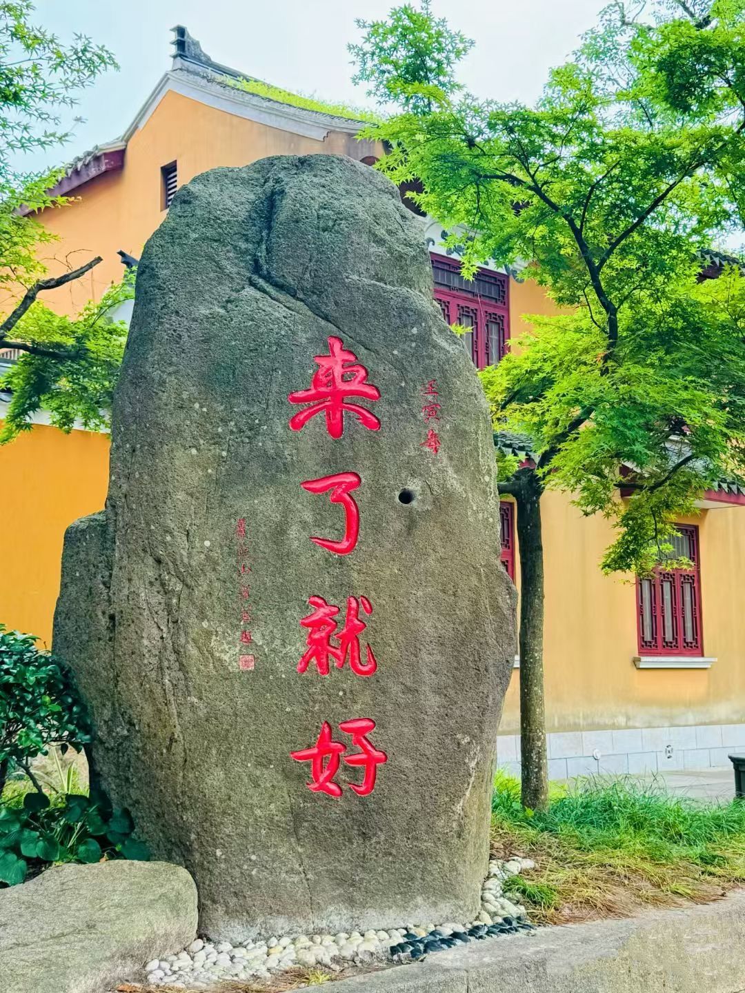 动态图片 16