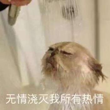 补药啊,广告怎么又卡了 3
