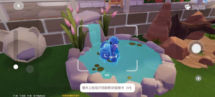官方大大这是什么鸟类截图