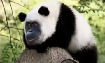 我变弱了，还是所有怪，boss，心魔加强了