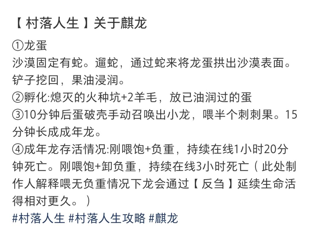 关于麒龙 2