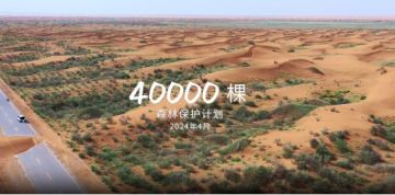 一口气种了万棵海草与树苗，这是游戏厂家和玩家每年的约定