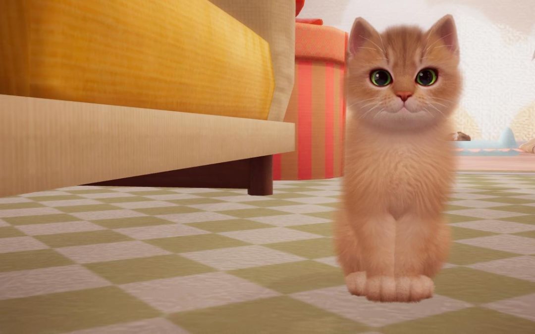 猪咪猪咪 3