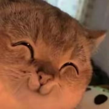 看没有人做好感 喜欢礼物截图