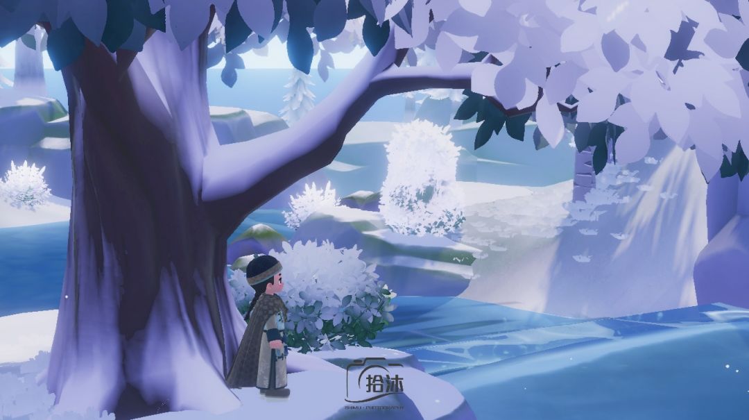 嬛嬛的摄影作品来喽 10