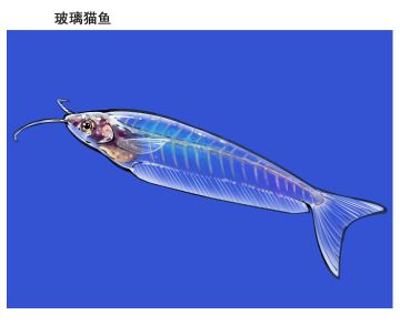 不定期图透和近期团队部分工作~（9月21日）