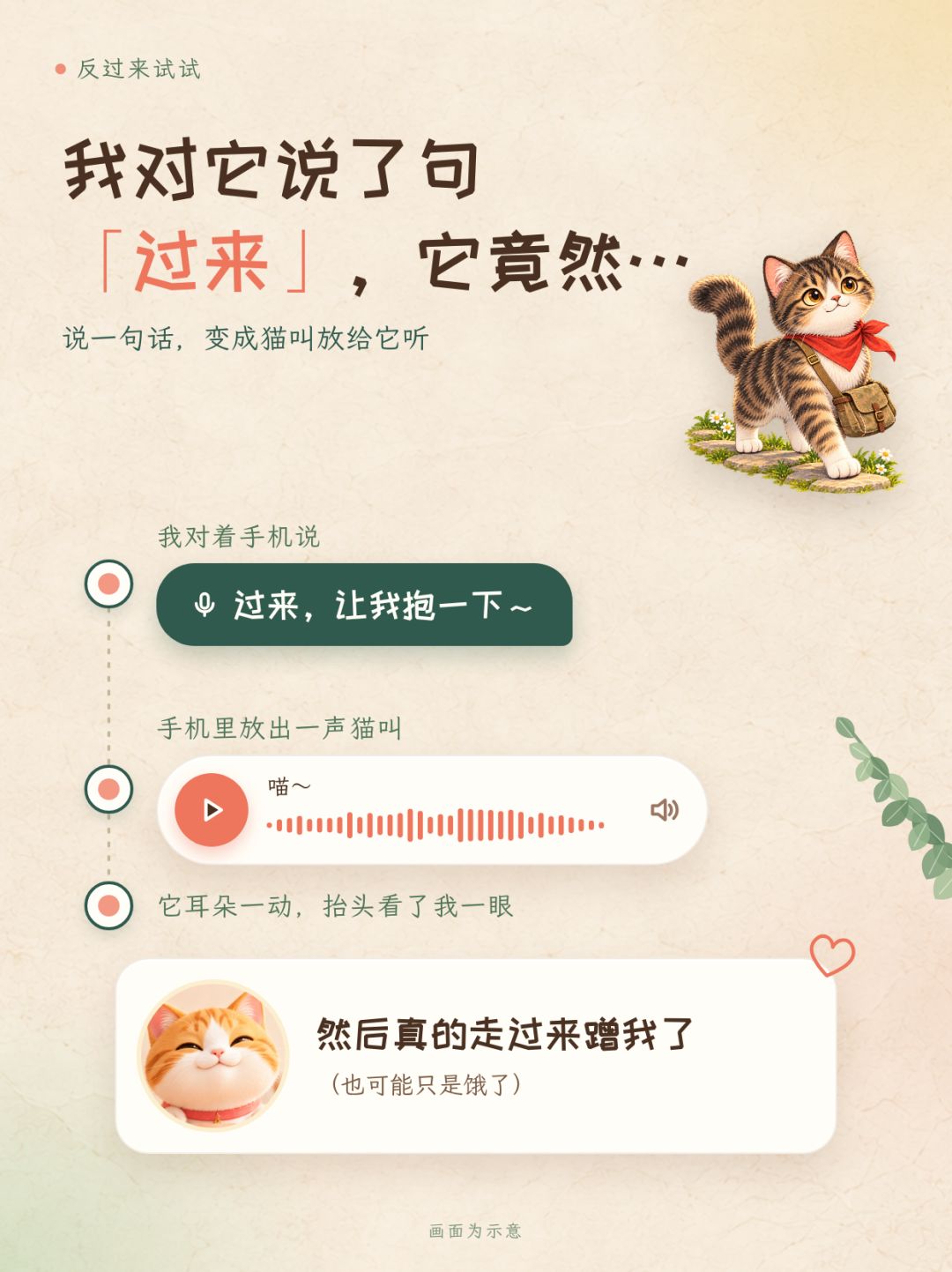 我开发了一个猫咪翻译神器 3