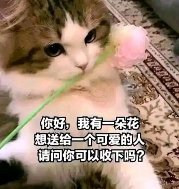 一些游戏里没写明的机制