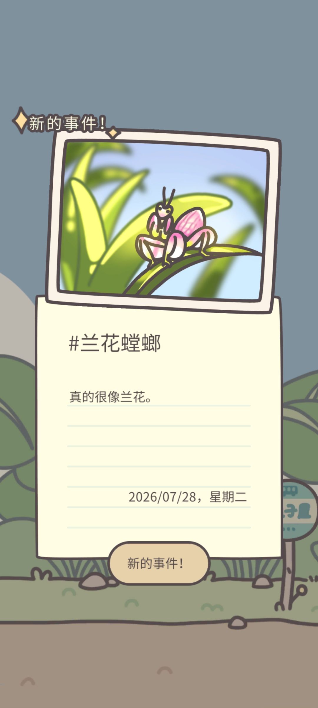 新昆虫-兰花螳螂 2
