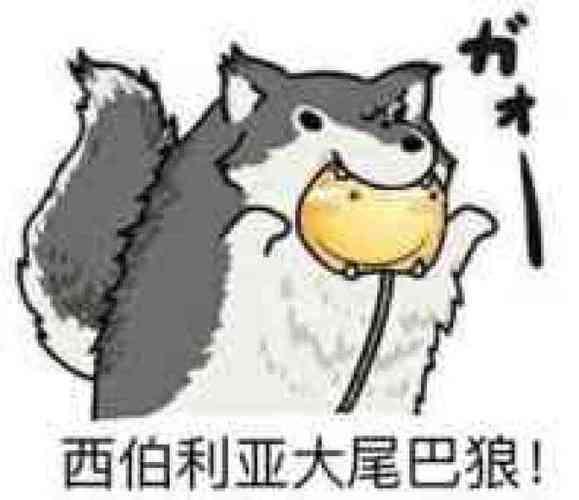 白银卡组怎么组截图