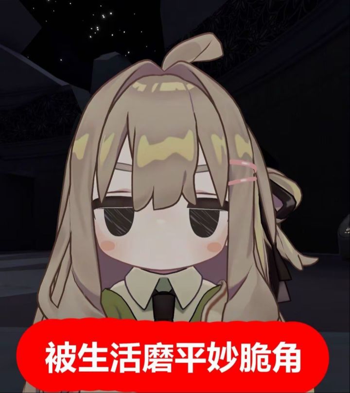 一条补充说明~截图