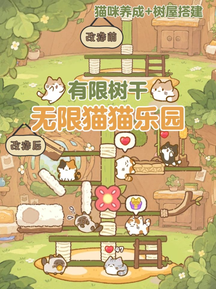 中国咪能飞！有这么可爱的猫你几点回家🐱截图