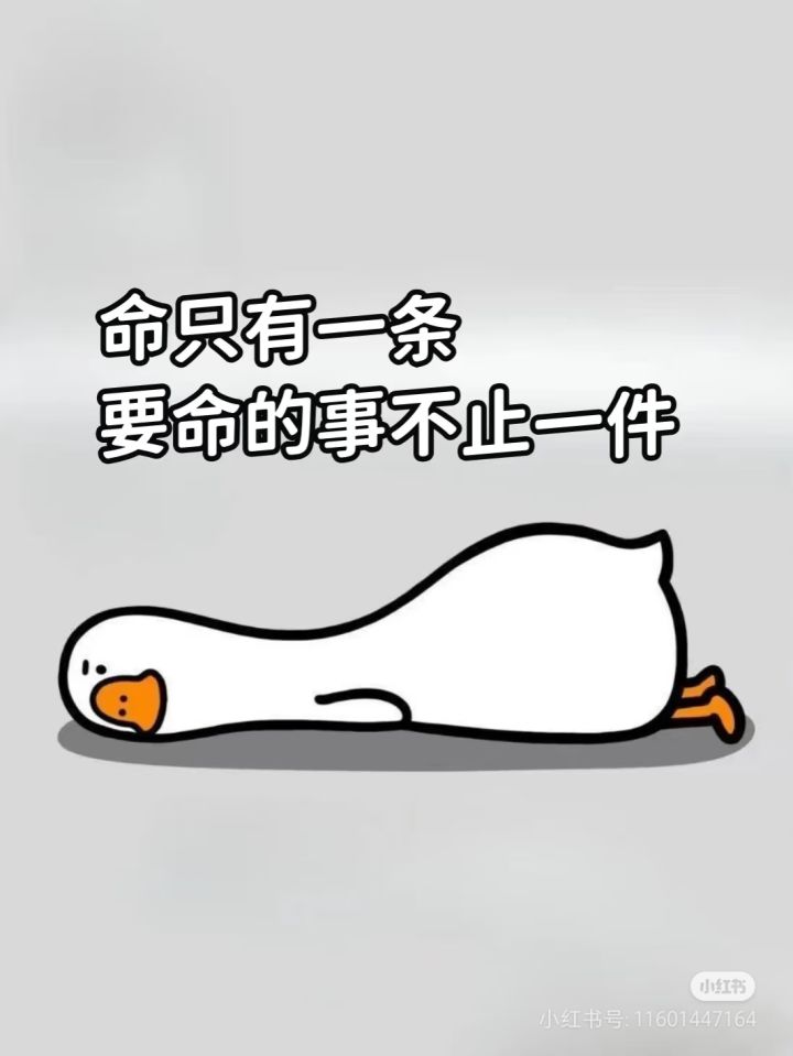 有交流群吗？截图