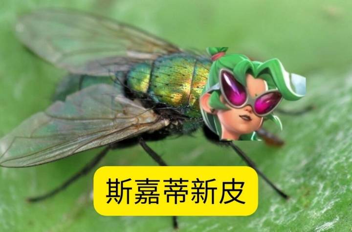 家人们,谁懂啊😂截图