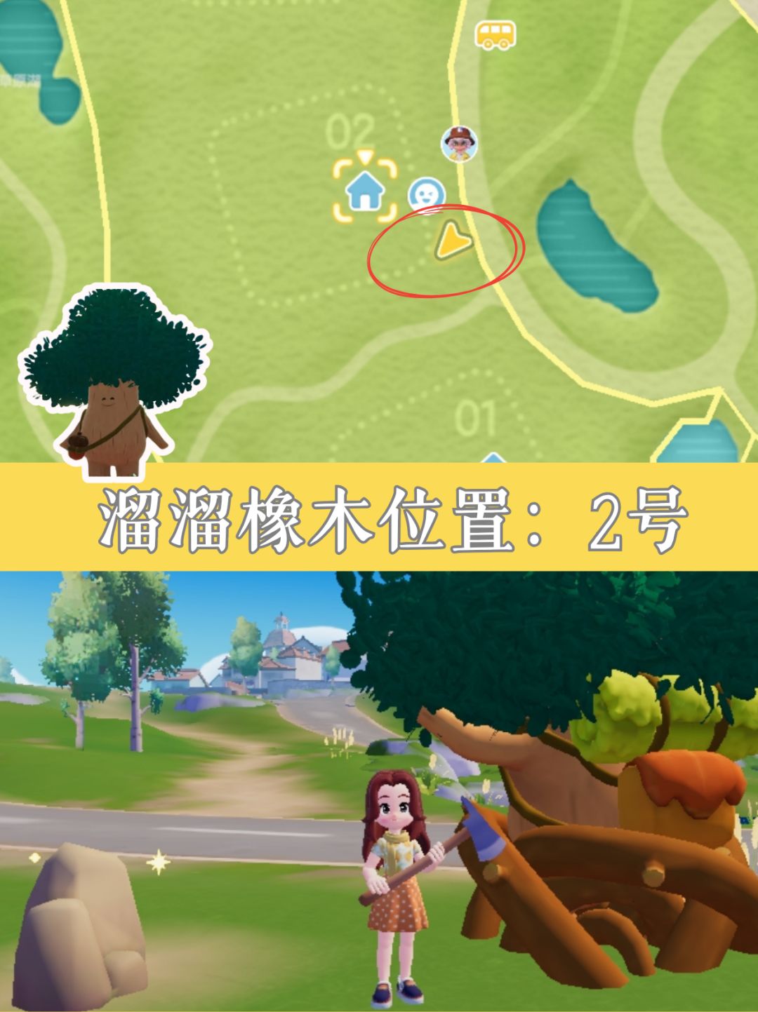 8.8小镇速报丨萤石+橡木位置 2