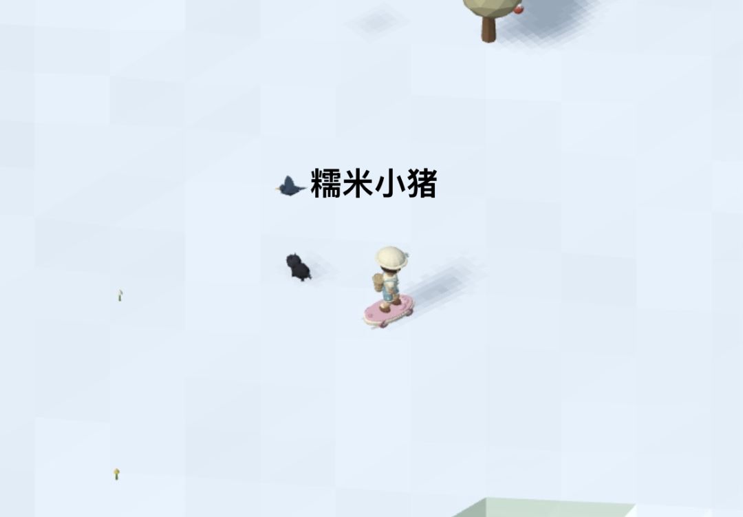 记录/去你的岛/目前拥有的滑板外观 9