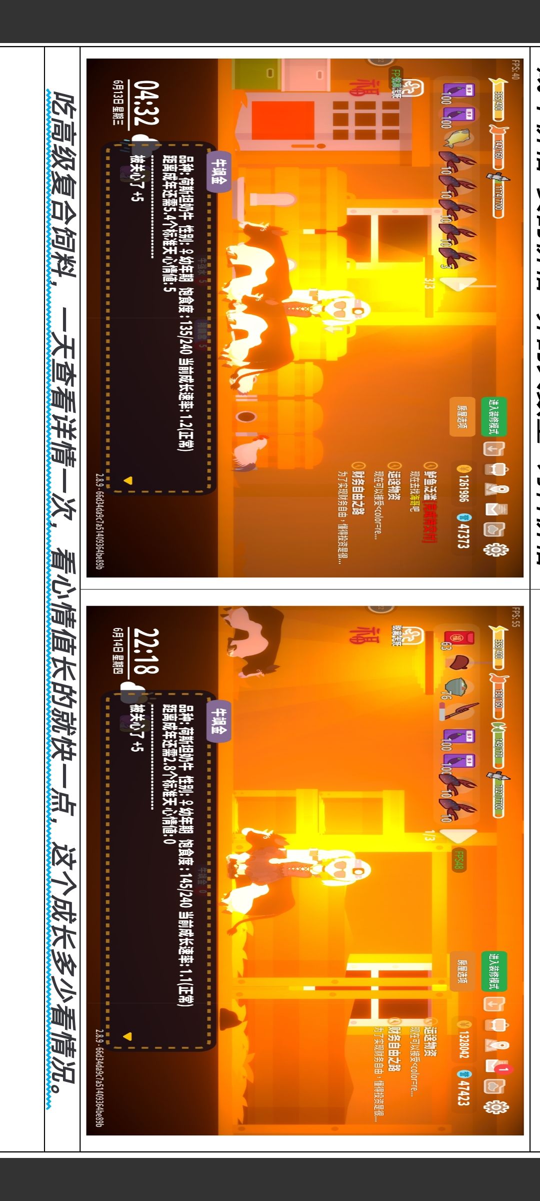 养动物完整版攻略!!! 3