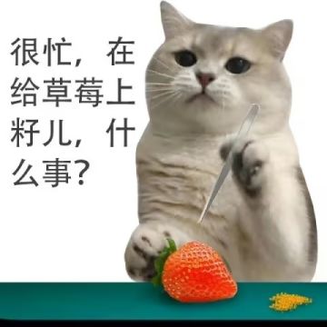 女神（81-90）思路分享