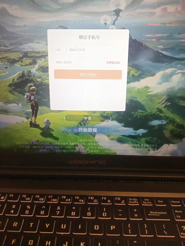 到这个界面就输入不了电话了截图