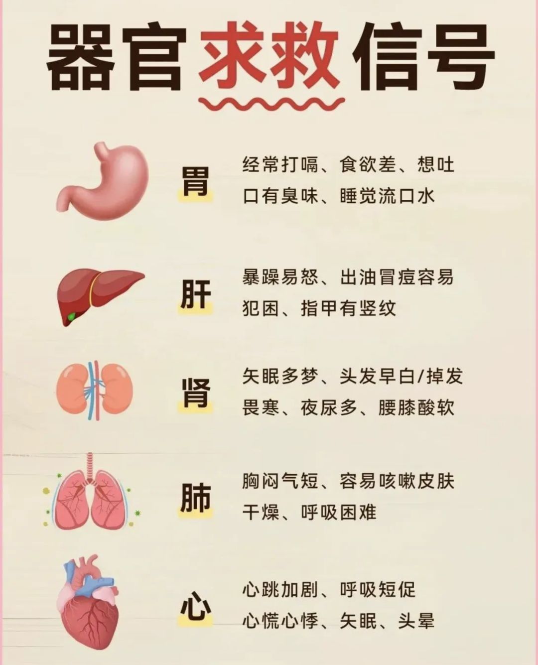 快来看看你的器官有没有在求救🧐🧐 1