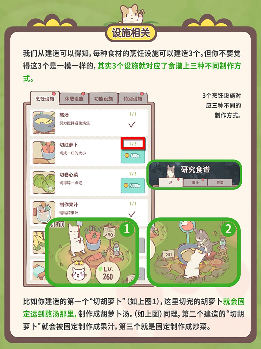 猫咪和汤,几个你必须注意的小细节 3