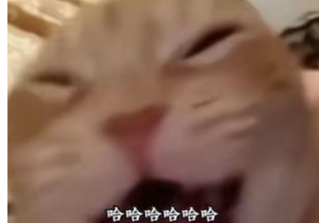 谁能看懂这张梗图 1