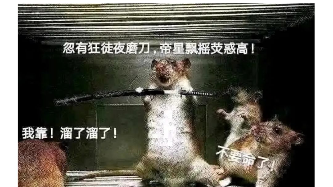 暴吸猿神图纸最佳方块配比研究截图
