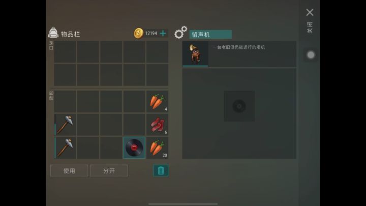 凄凉市集活动 黑胶碟“市集喧闹”鉴赏截图