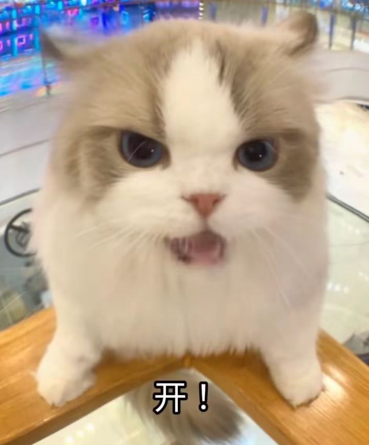 邀请码功能暂时维护哦截图