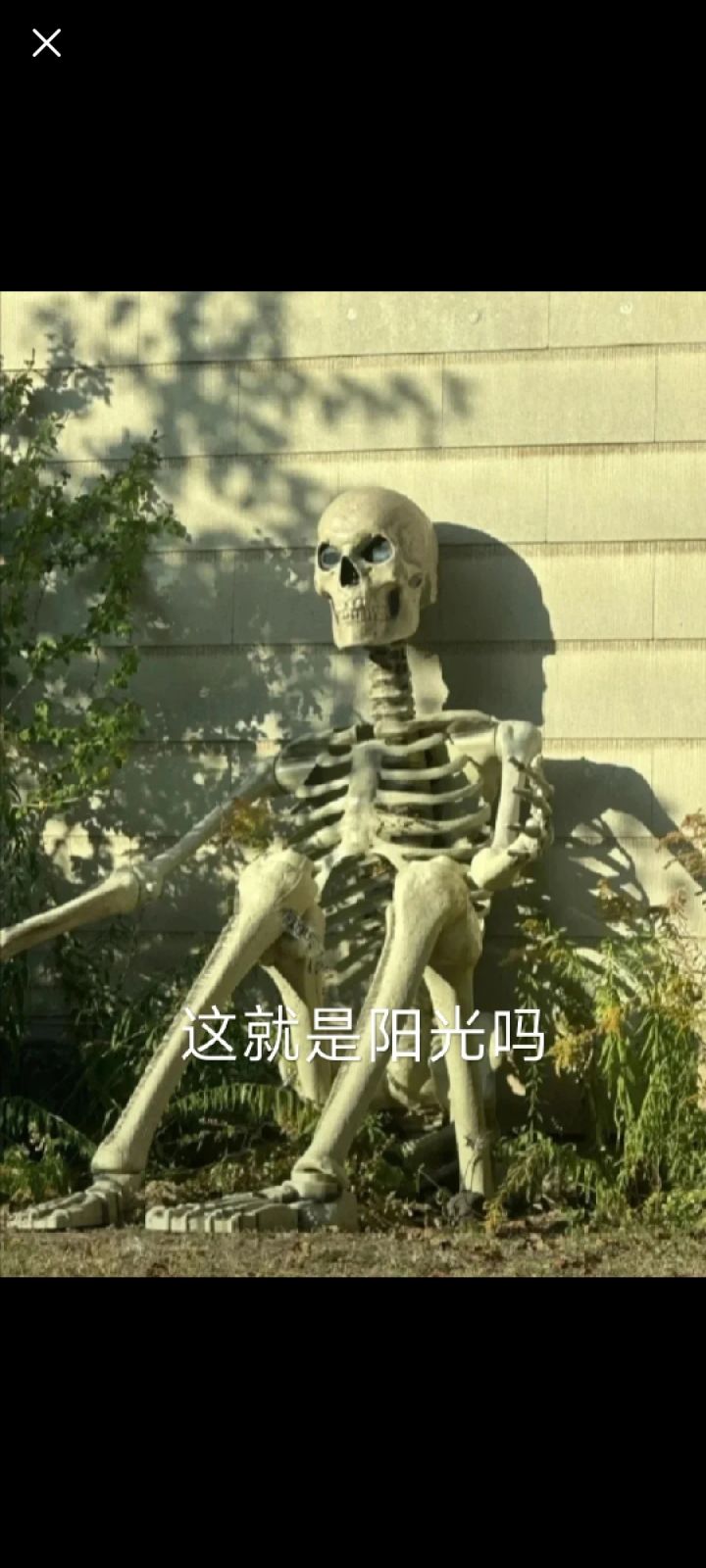 竞技场开了没截图