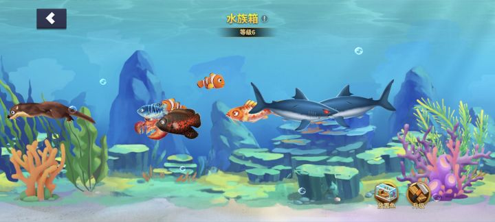 两条虎头鲨了截图