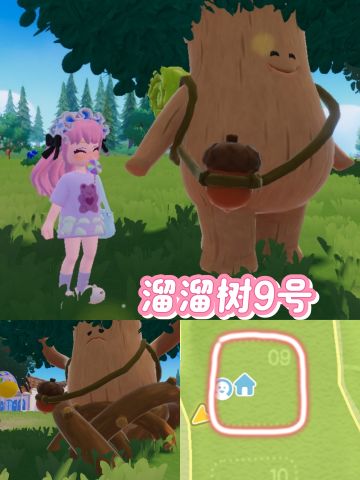 11月3日溜溜树&萤石位置