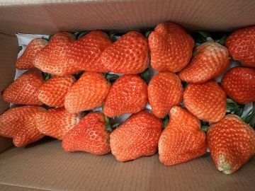 131受够了这个破