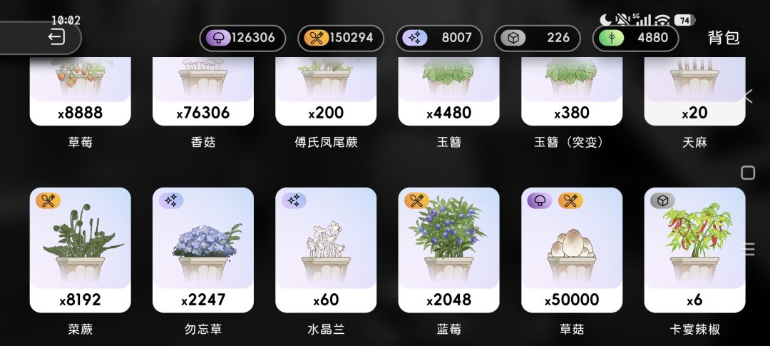 存档点:15万食物 8千装饰 1