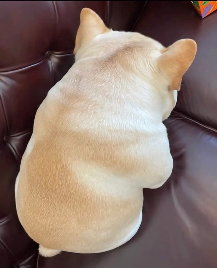 組隊截图