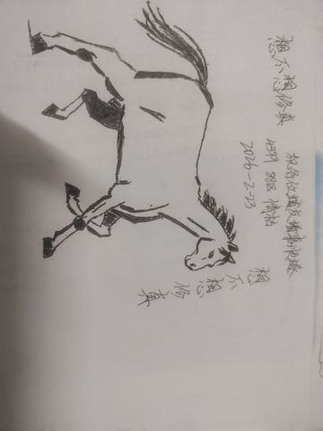 我应该是画风最潦草最难看的了吧，在下手残党道友勿怪