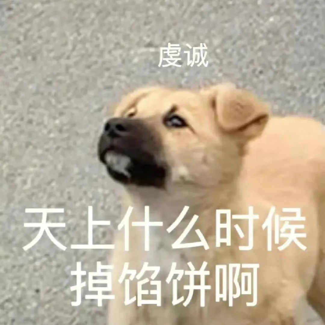 老迈加上改技能呗。 1