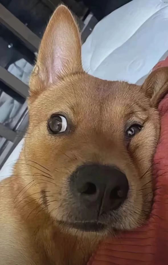 问个事儿 1