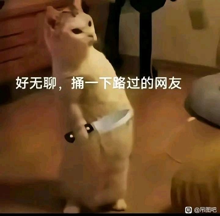 哈哈哈哈 1