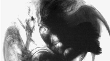 《悲风杨柳剑法》