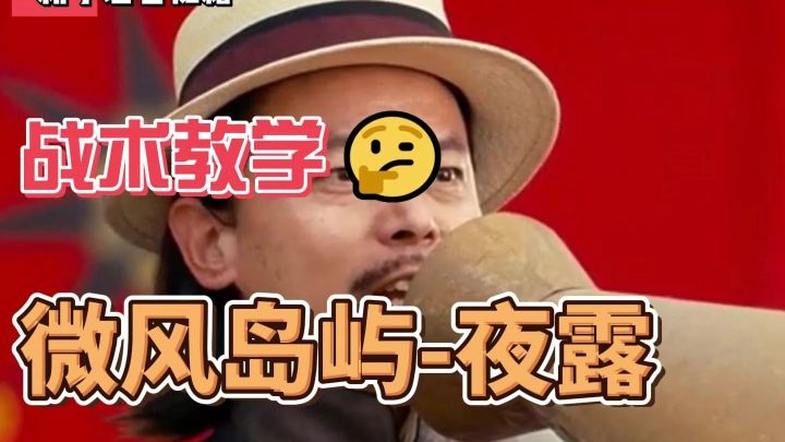 微风岛屿夜露战术打法截图