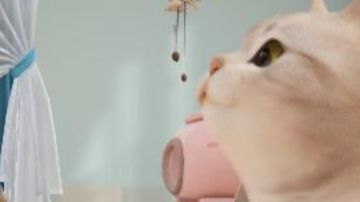 UR英雄技能介绍（集礼可查）