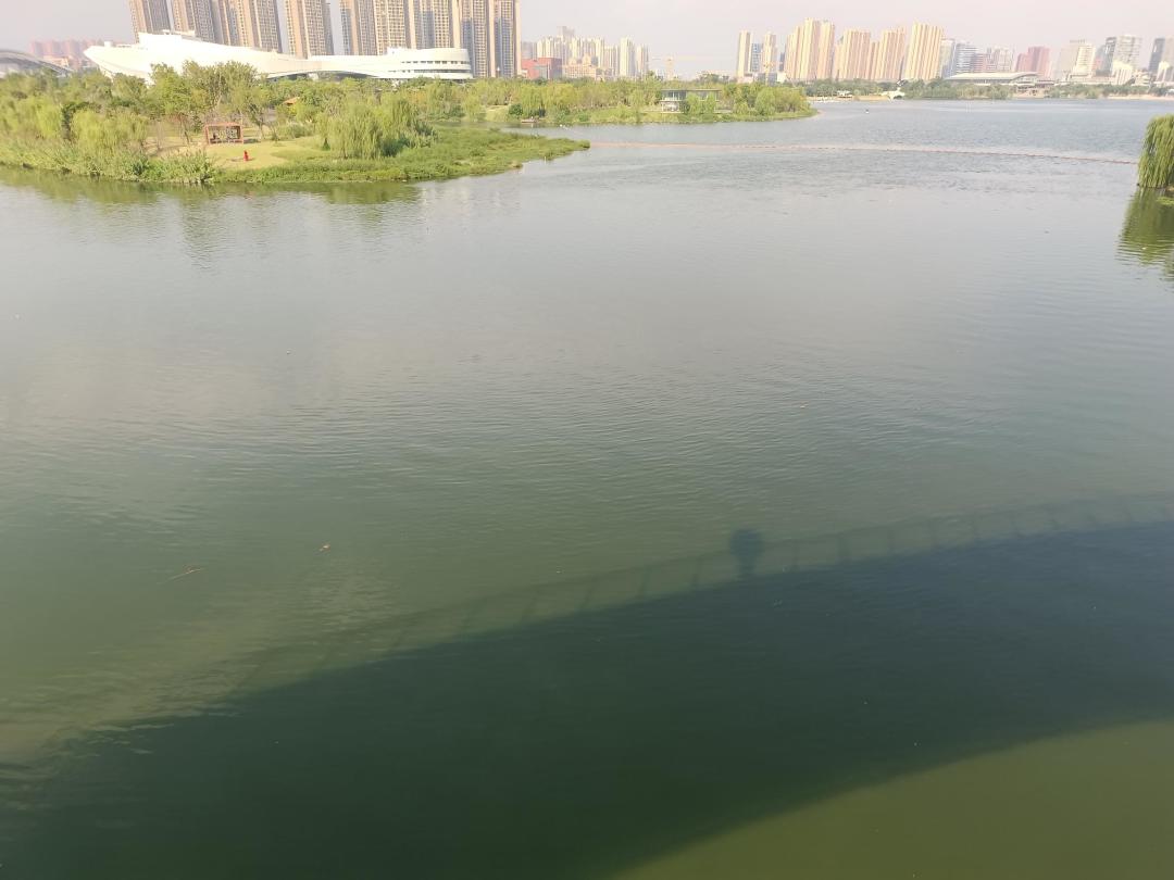 今天出门散心去了 3