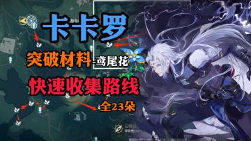 【鸣潮】卡卡罗突破材料鸢尾花 快速收集路线