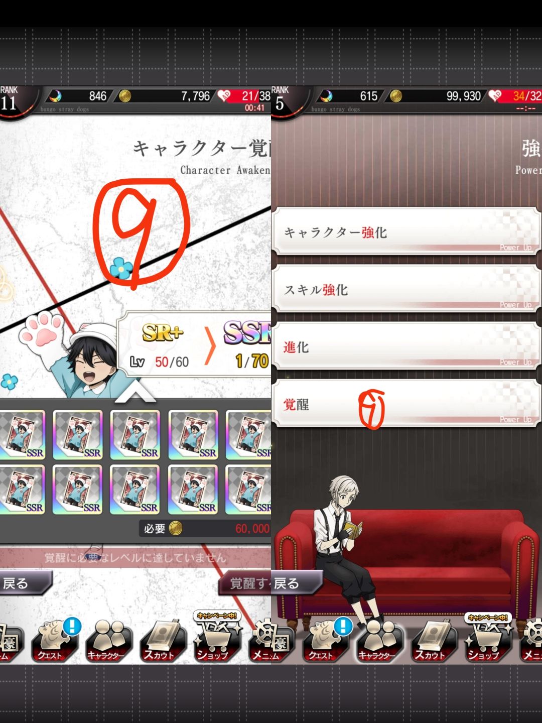 乱步SSR进化过程 6
