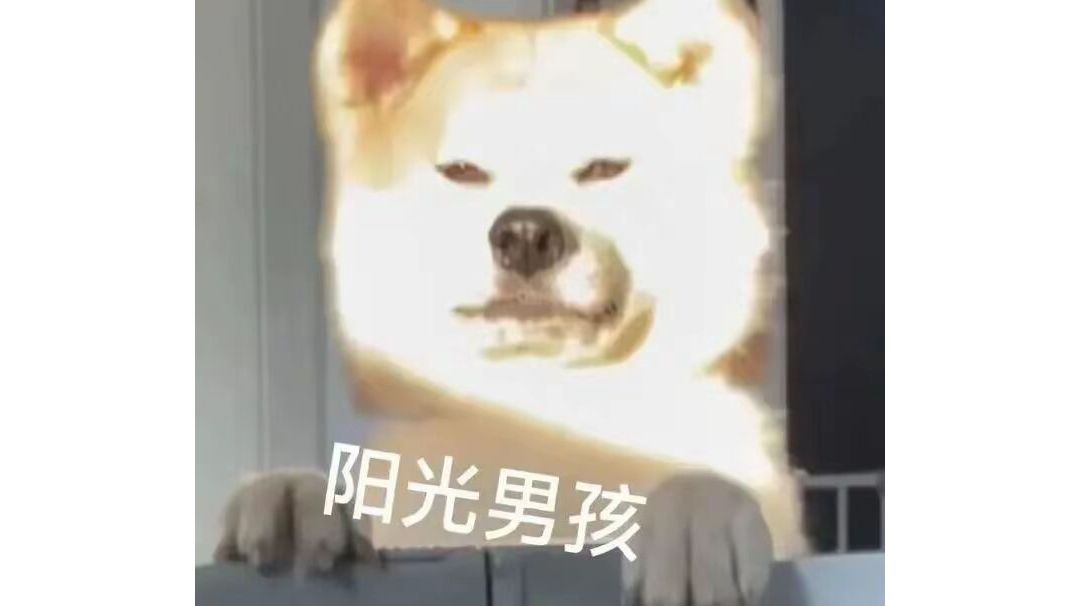 小氪到中氪的高性价比氪法截图